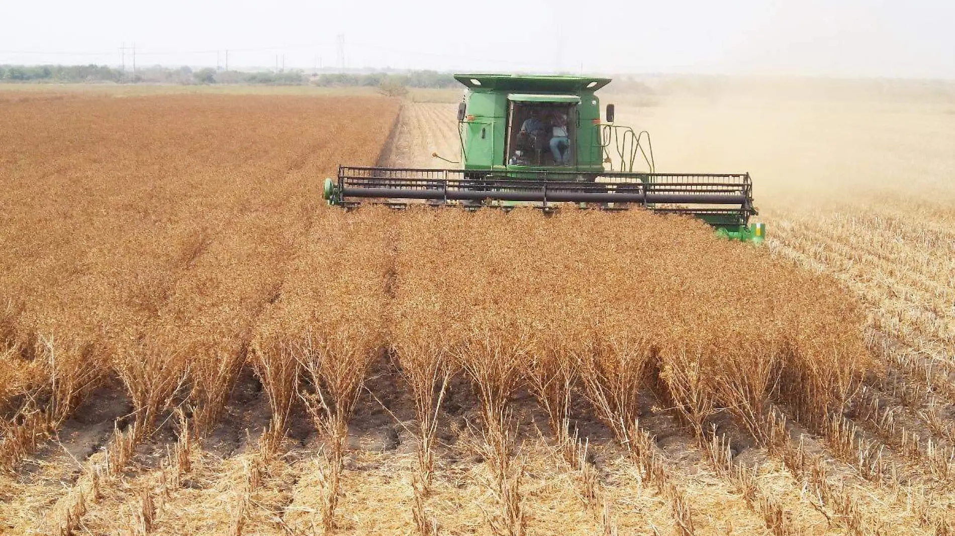 AUTONOMIA ALIMENTARIA-cortesia secretaria de agricultura y desarrollo rural (1)